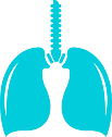 Pneumology